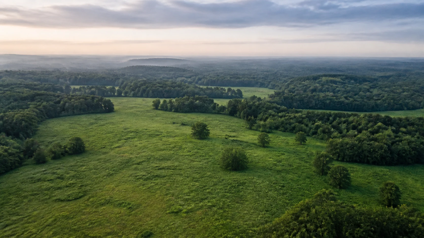 Open land and woodland behind an illustrative planning diagram